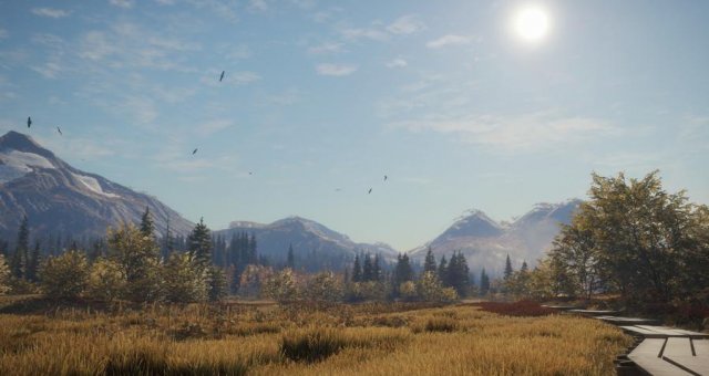 download call of the wild beginner guide