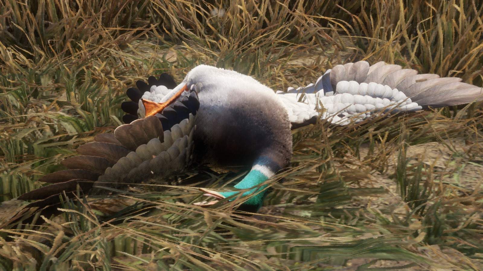 The Hunter Call Of The Wild Duck Hunting Basics