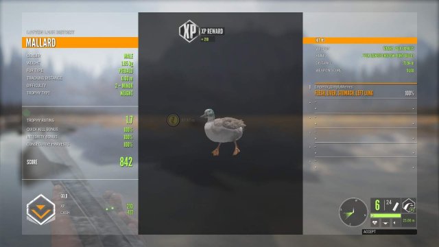 The Hunter: Call of the Wild - Duck Hunting Basics