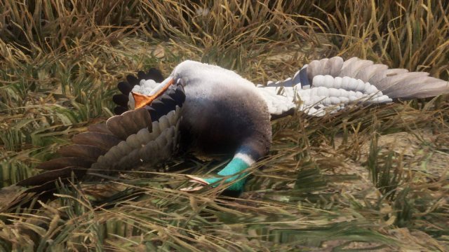 The Hunter: Call of the Wild - Duck Hunting Basics