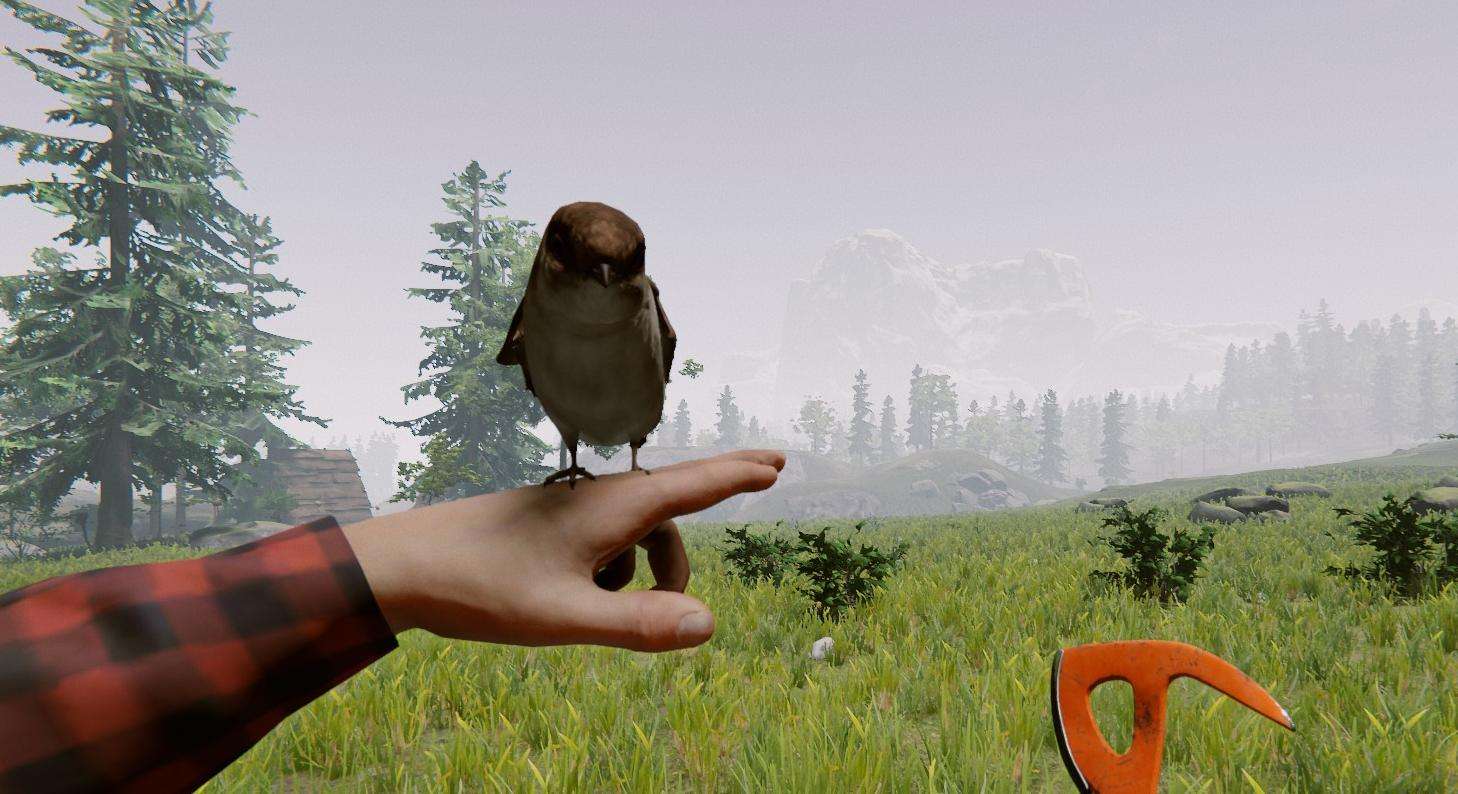 download the forest beginner guide