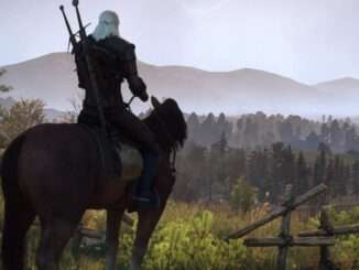 The Witcher 3: Wild Hunt - Bear Farming Location