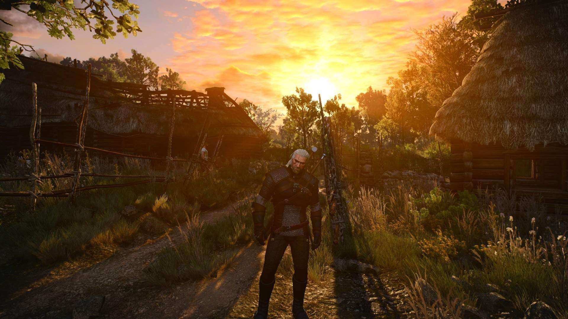 the witcher 3 meditation